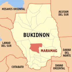 maramag bukidnon zip code.